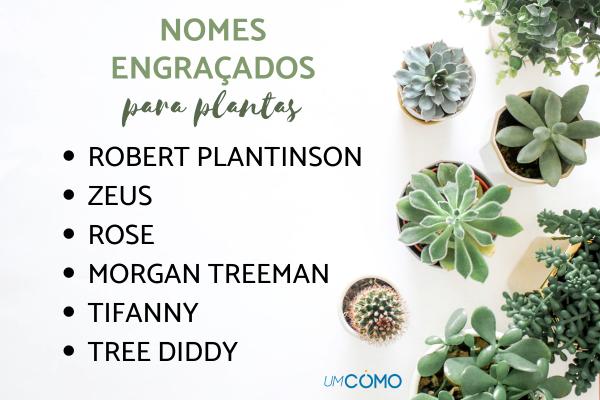 identificar plantas por nome