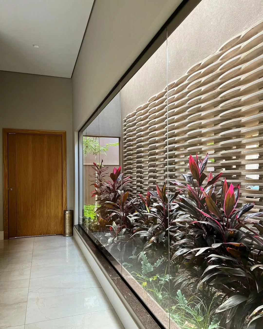 5 formas para transformar sua casa com dracena