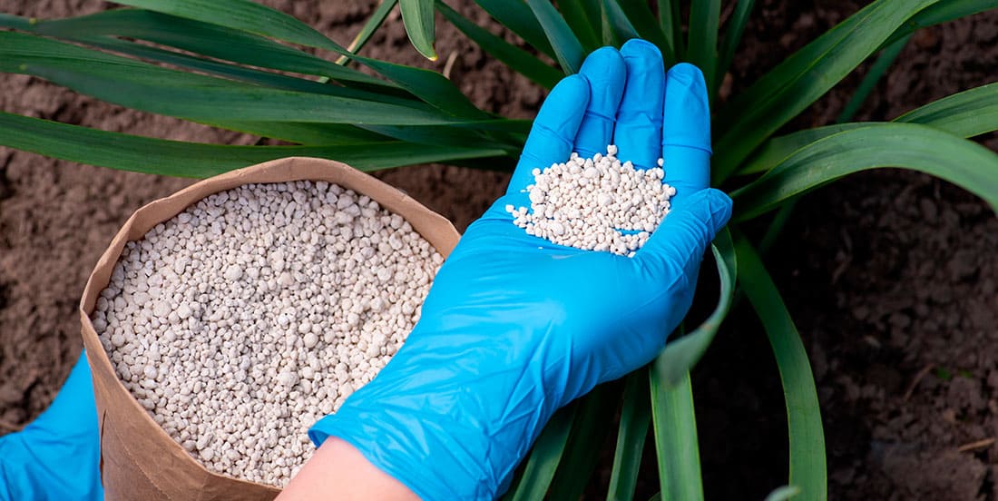 adubo mineral