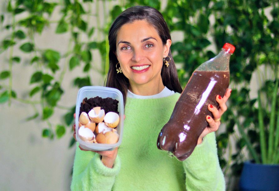 melhores adubos caseiros para horta