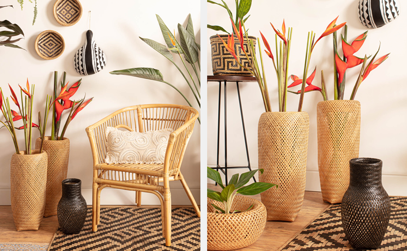 Convites e Mais para Download