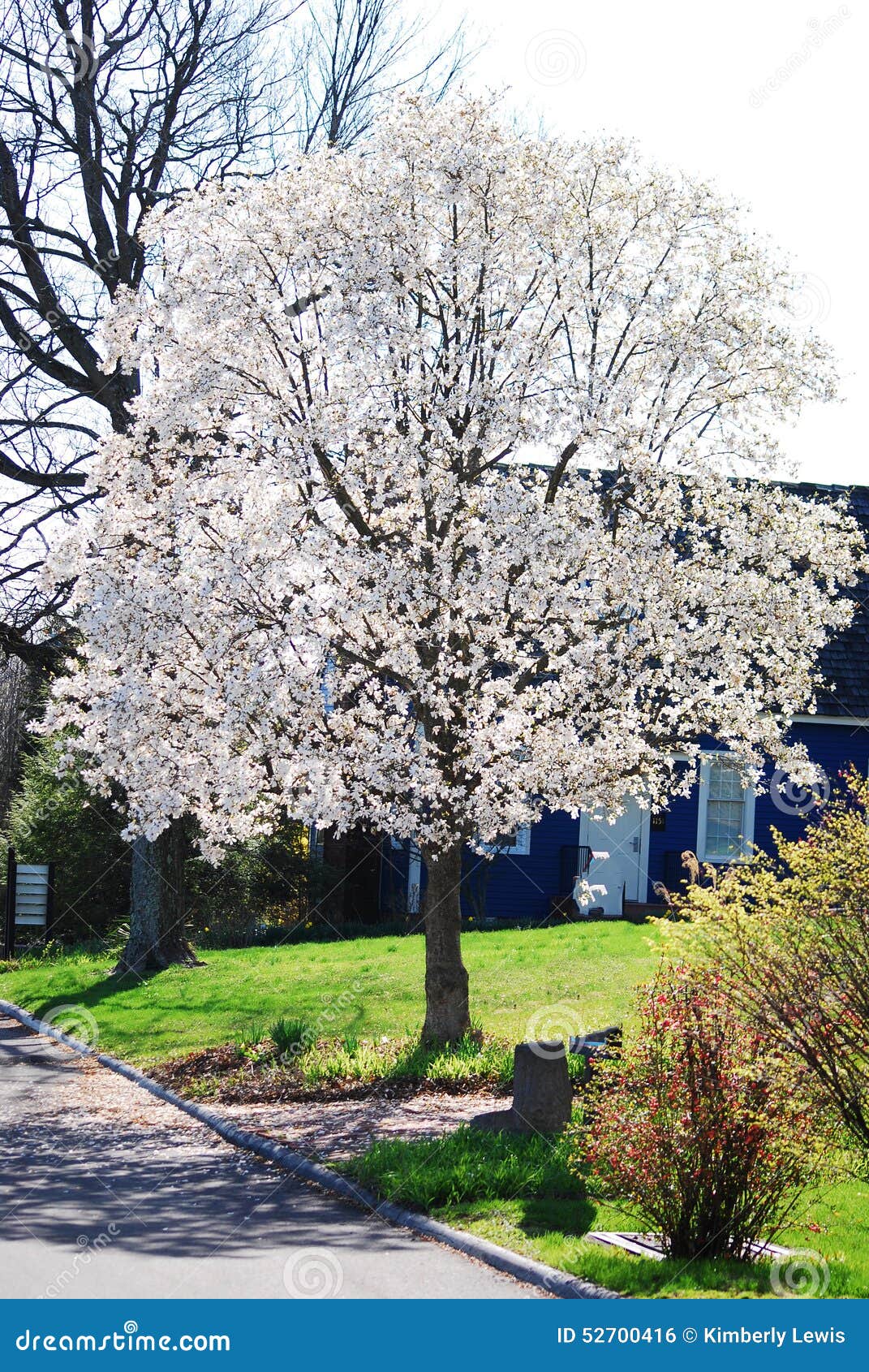 poda de primavera
