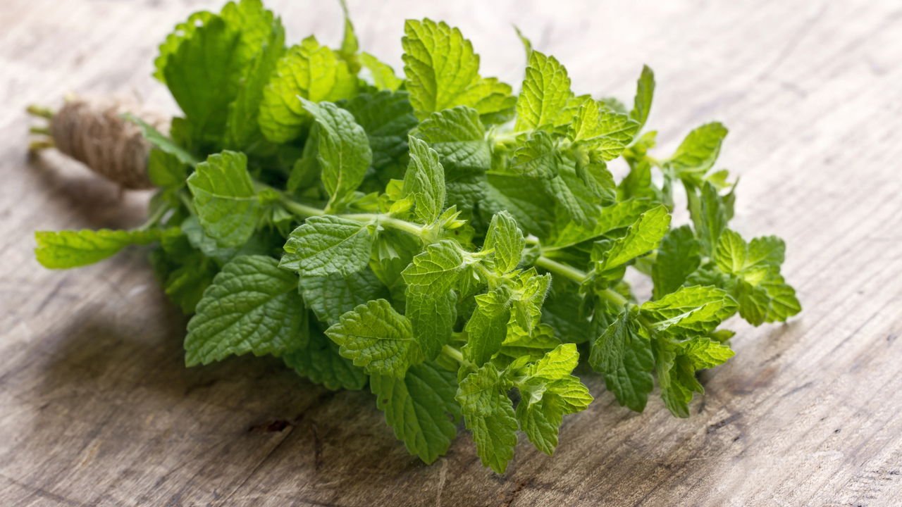 Guia Completo: Como Fazer Chás com Suas Plantas Medicinais Caseiras