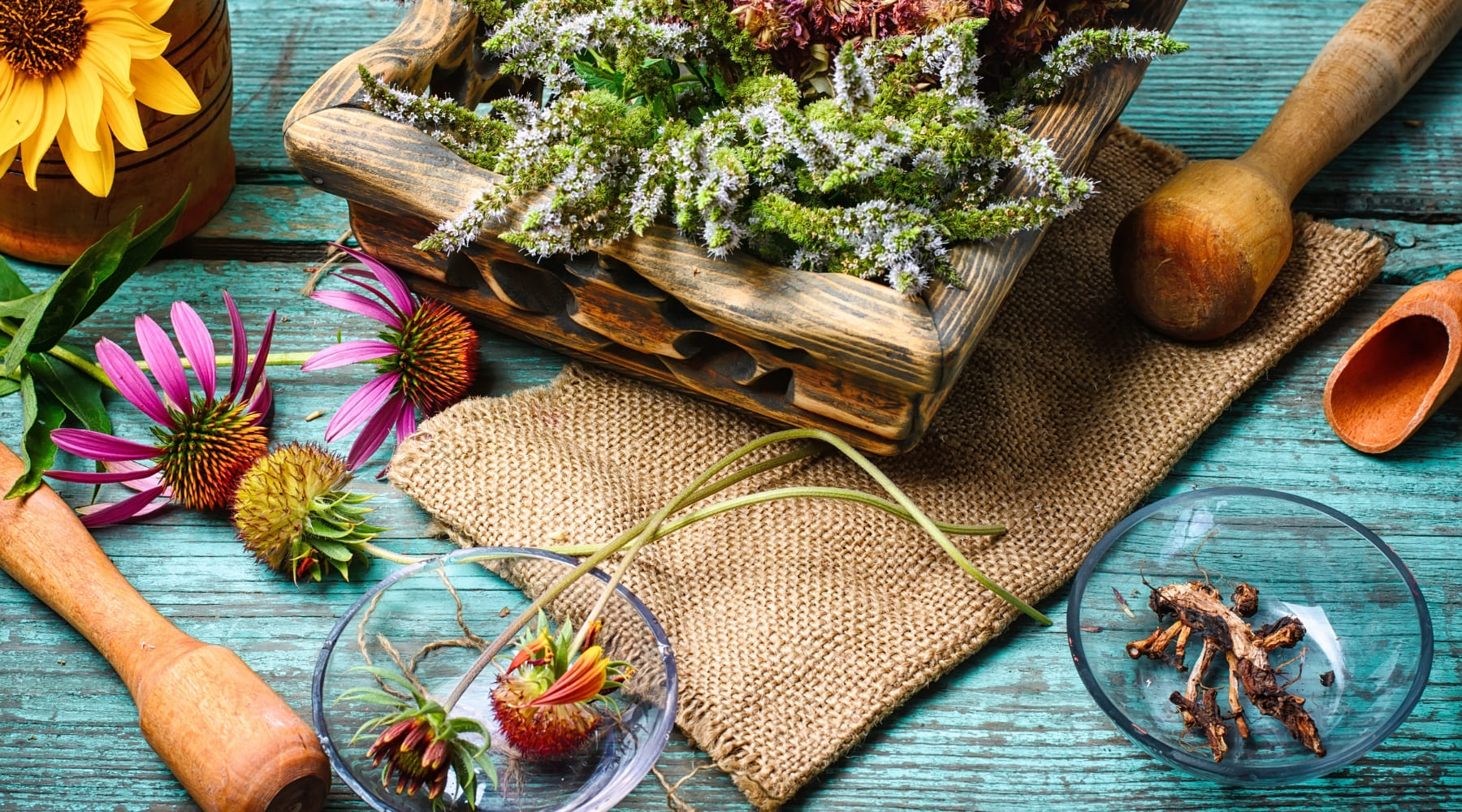 Montando Sua Horta Medicinal em Apartamentos Pequenos