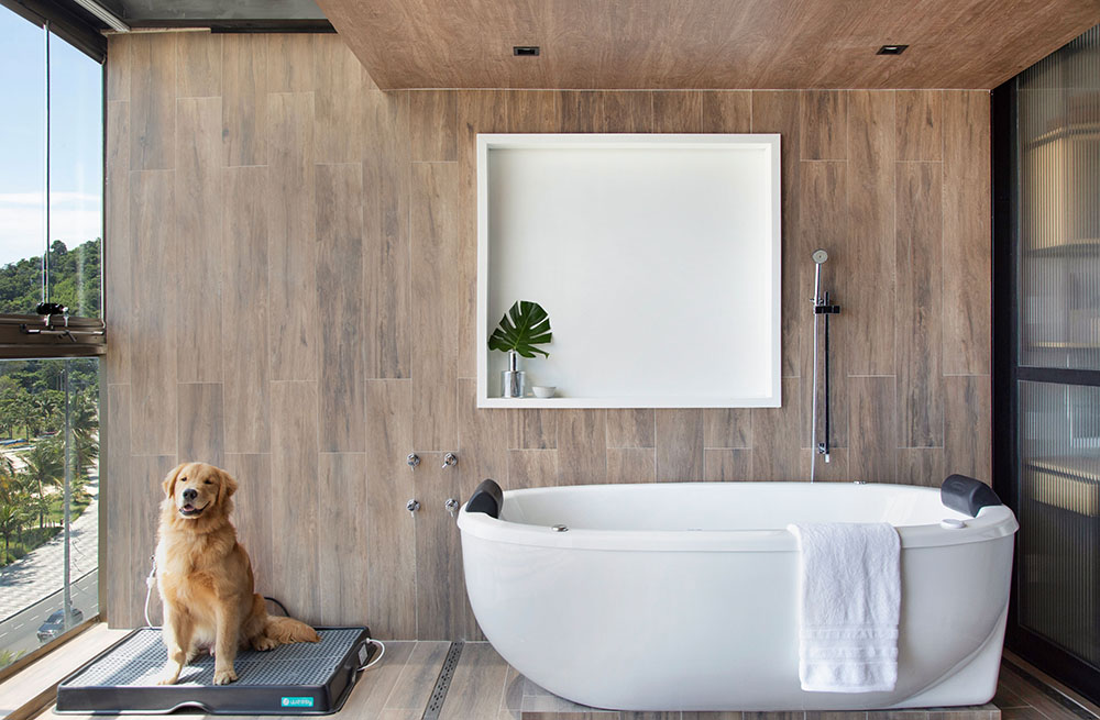 banheira de hidromassagem vs spa inflável