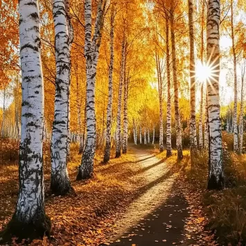 erros comuns ao plantar bétula