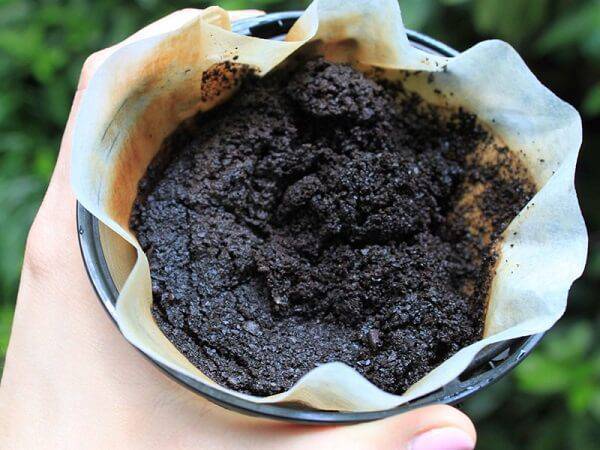borra de café para plantas