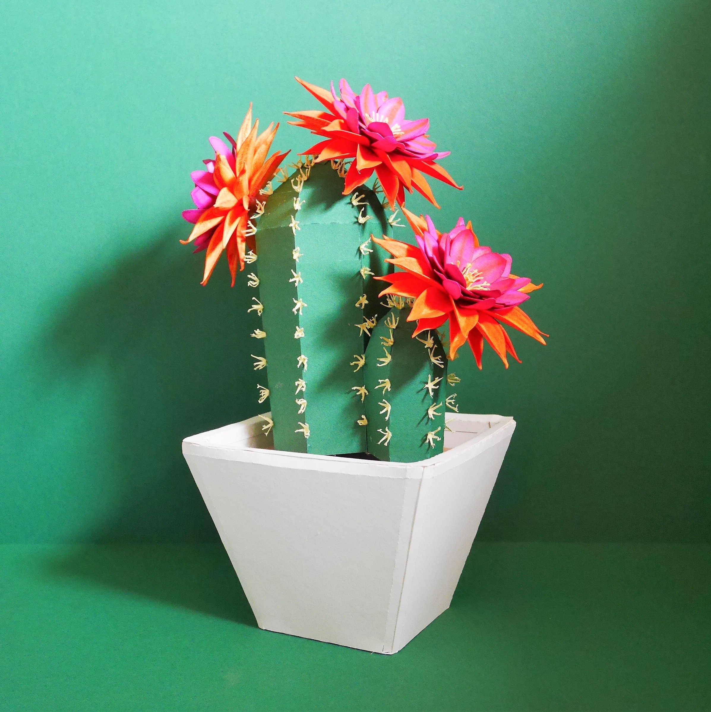 preço de cacto com flor para comprar online