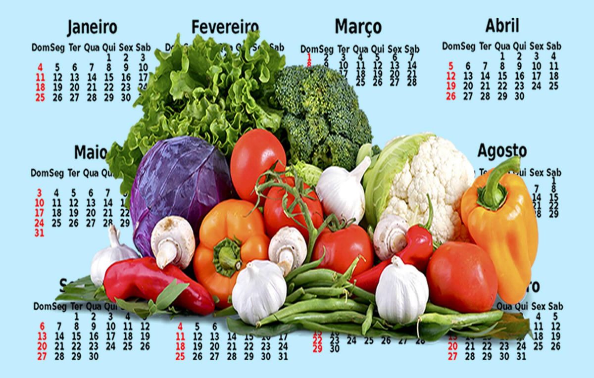 erros comuns no calendário de plantio de horta