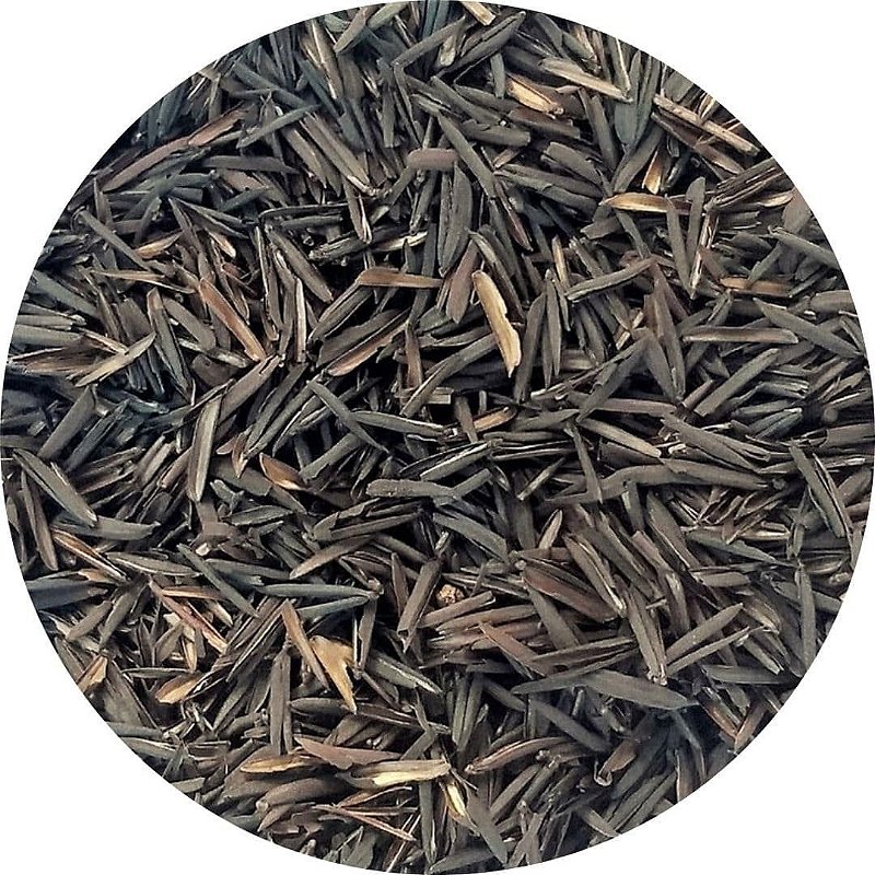 erros ao usar casca de arroz carbonizada no jardim