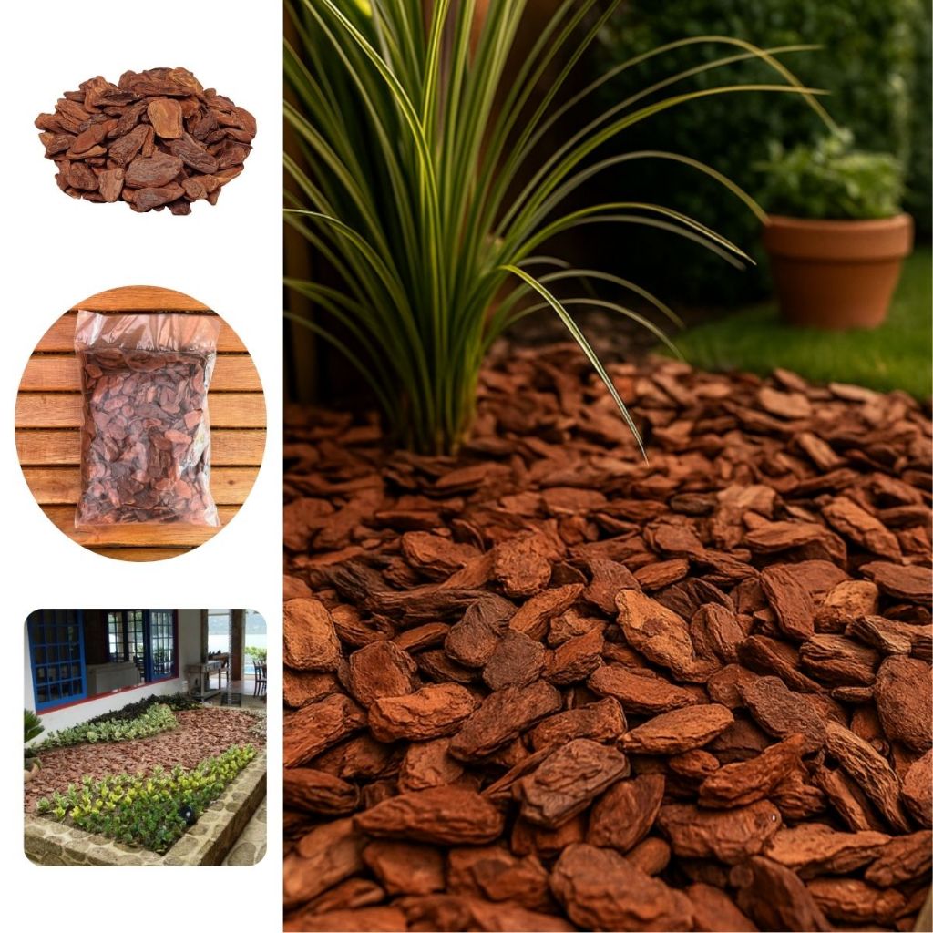 seixo rolado para jardim