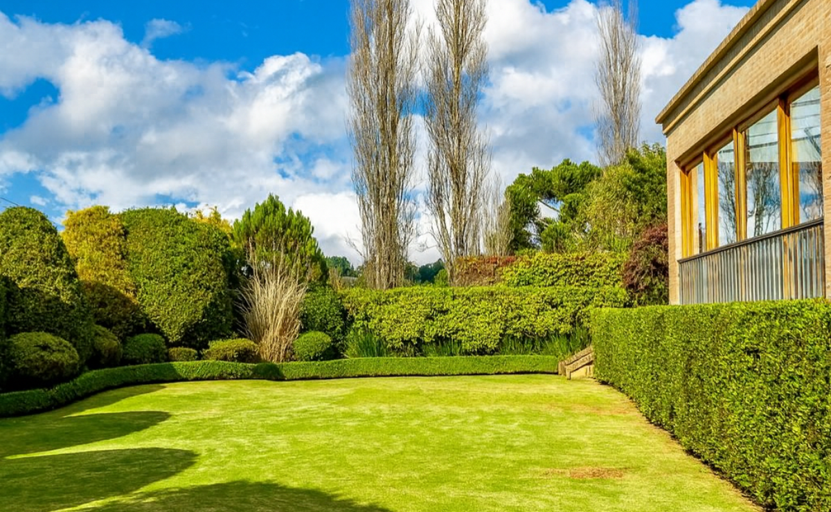 O impacto das cercas vivas na biodiversidade local e atração de fauna