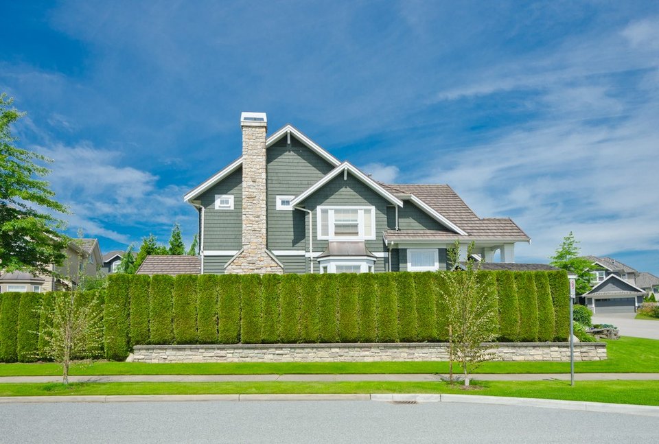 O impacto das cercas vivas na biodiversidade local e atração de fauna