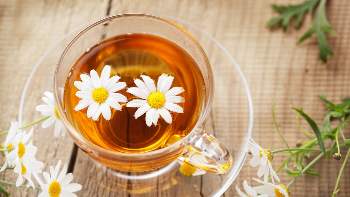 Camomila na Rotina de Beleza: Benefícios para a Saúde da Pele