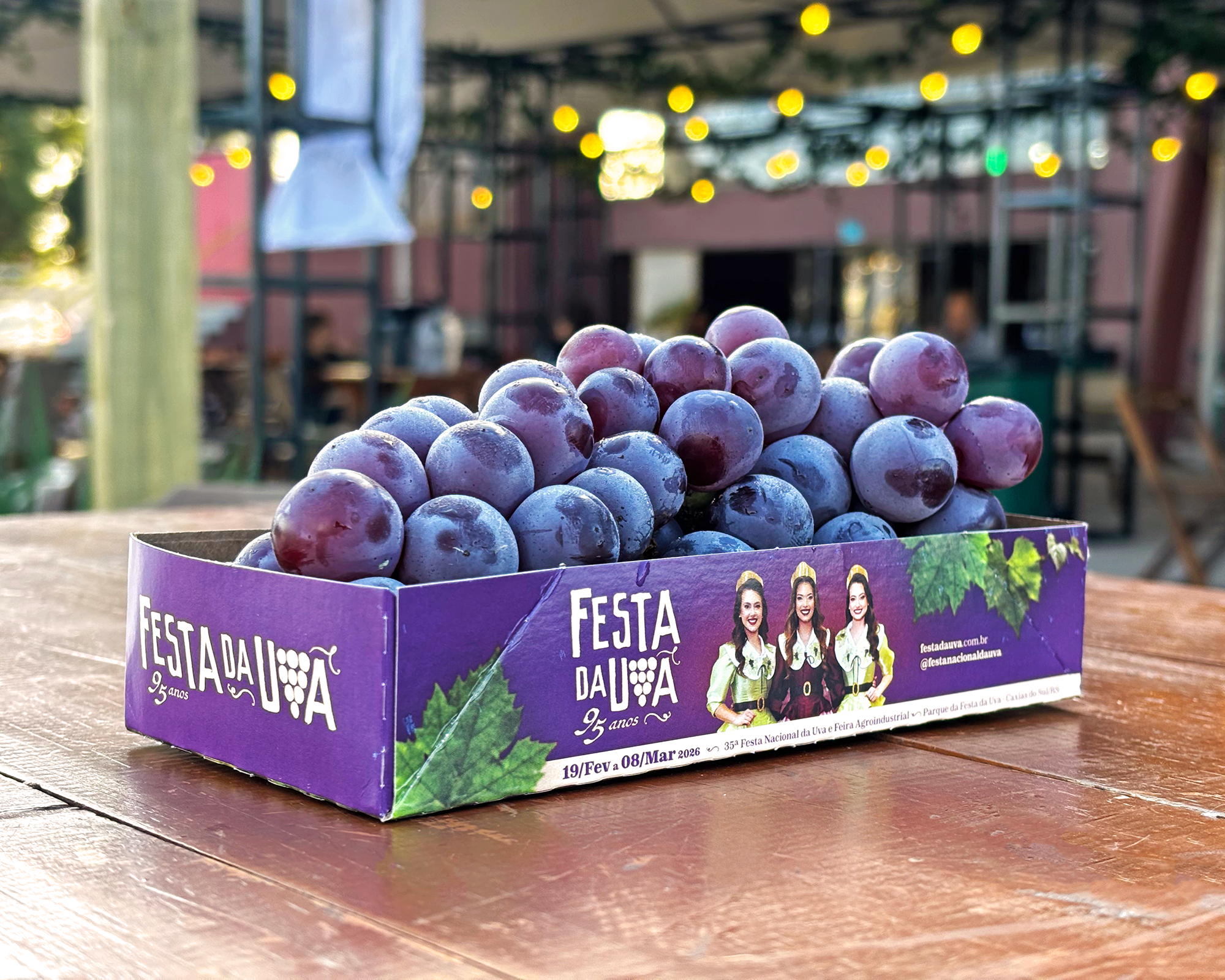 Cipó-Uva na Decoração: Ideias para Ambientes Internos