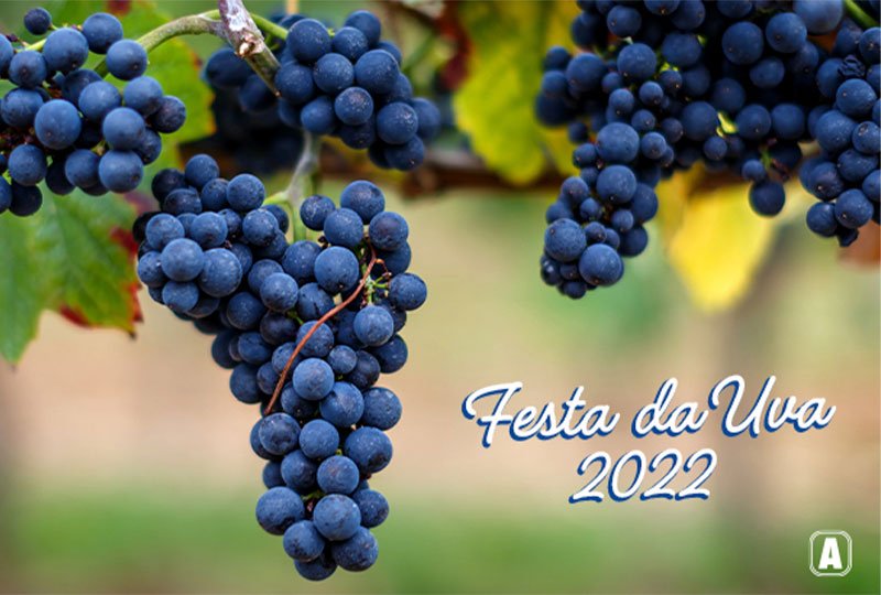 Diferenças entre Cipó-Uva e Outras Trepadeiras Ornamentais