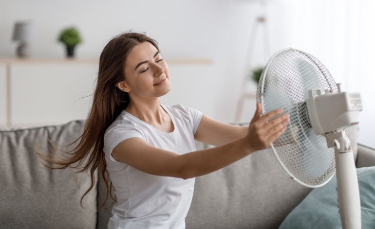 Umidificador vs. Purificador: Qual a Diferença e Qual Você Precisa?