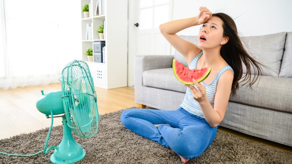 coisas que ajudam a fazer o ar da casa ficar melhor