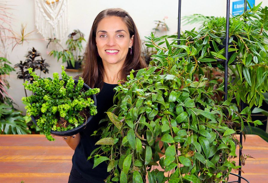 erros comuns ao cuidar de columeia