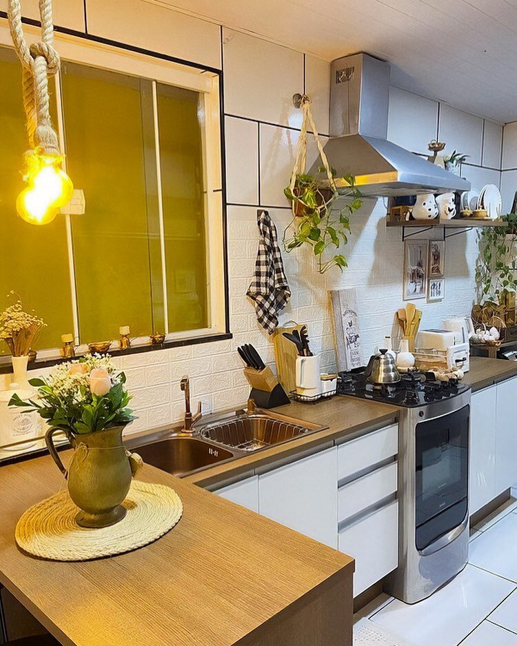 As Plantas Essenciais para sua Urban Jungle na Cozinha Boho