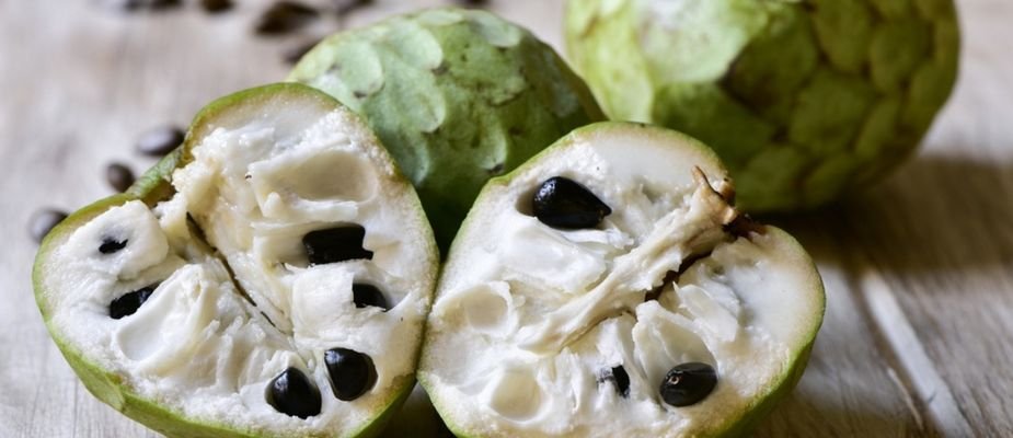 Como fazer a polinização manual da cherimoia para mais frutos