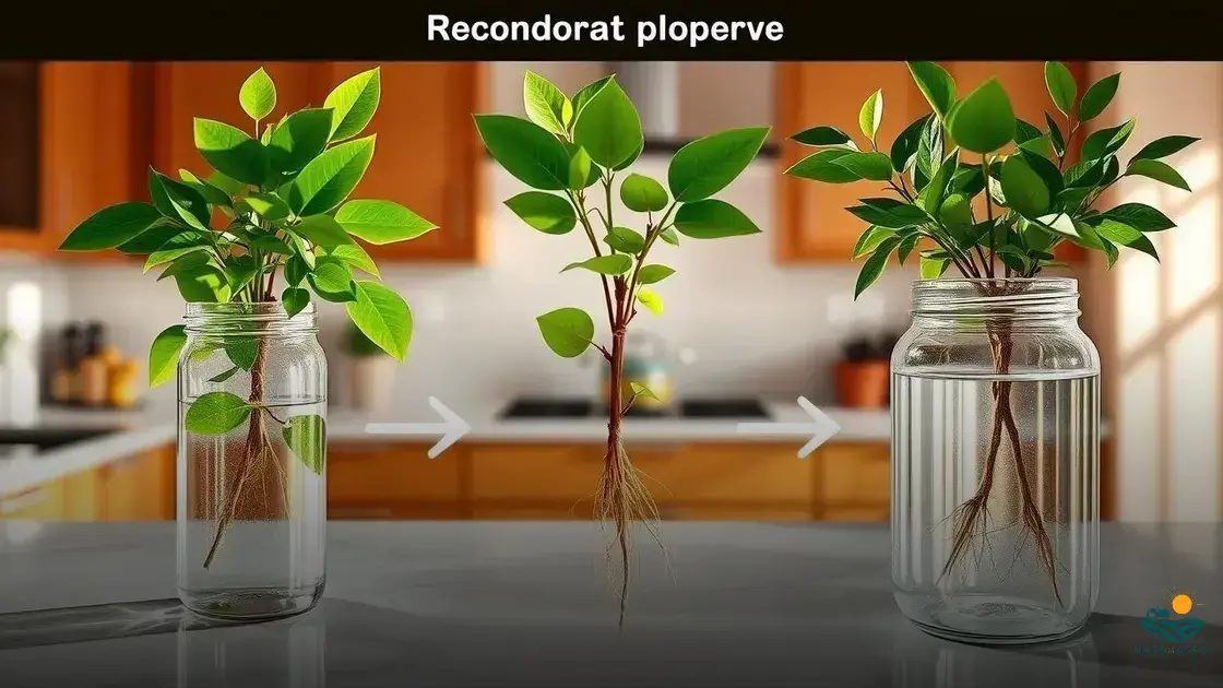 como fazer muda de louro