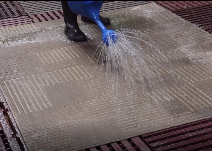 5 melhores tapetes lavaveis na maquina para sua casa