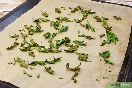 como secar manjericao no forno