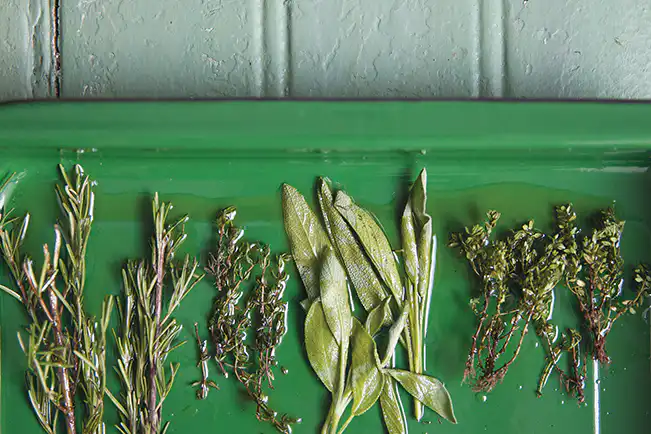 Outras Ervas que Você Pode Secar no Forno: Alecrim