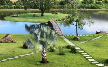 erros comuns ao cuidar da grama no inverno