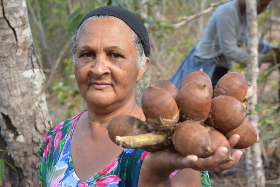 como criar coreografia inspirada em um rio
