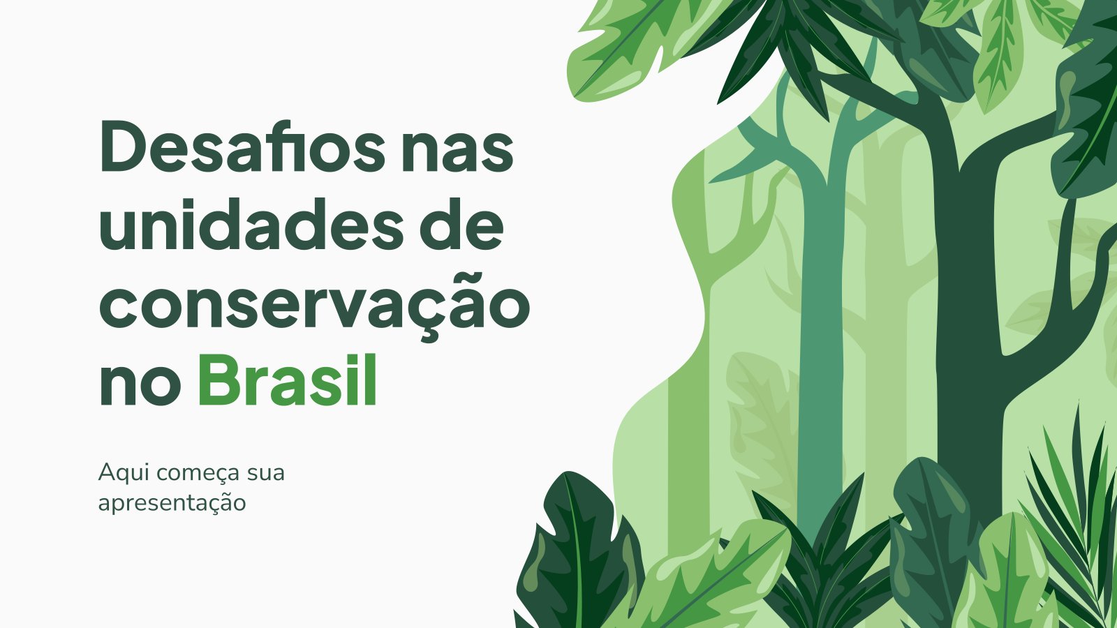 custo de projetos de dança ambiental