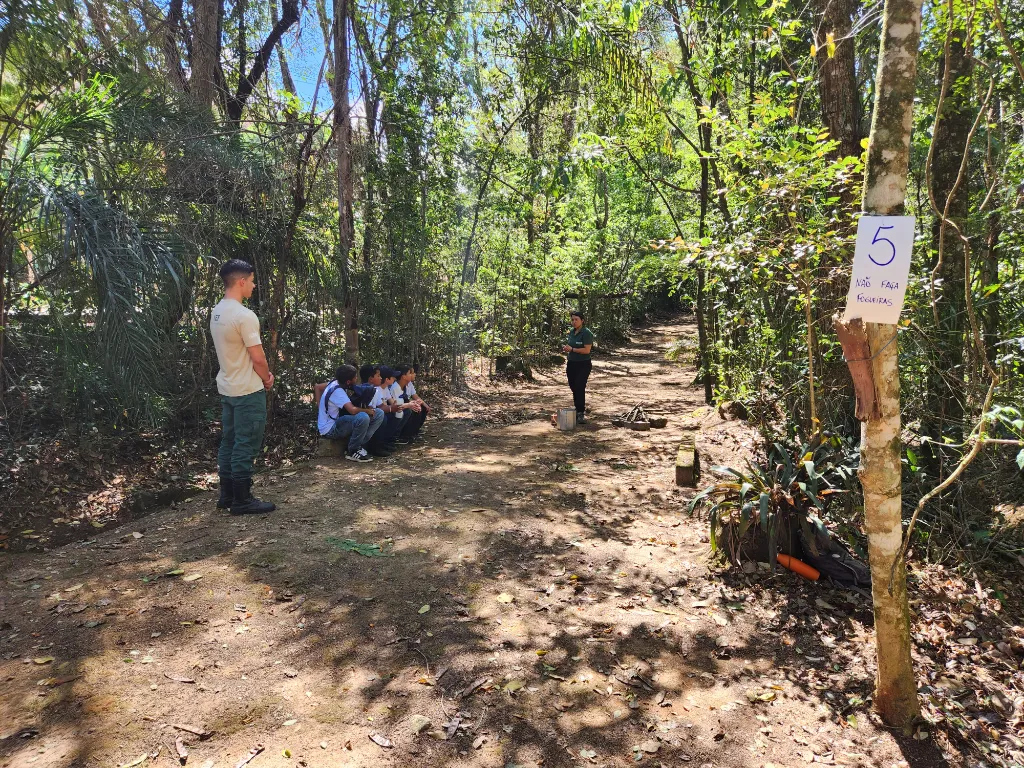 erros comuns ao tentar conectar dança e meio ambiente