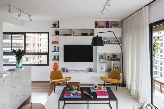 Plantas para Apartamento Alugado: Guia Completo de Espécies e Cuidados