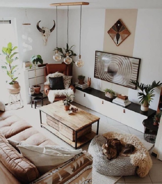 Guia Completo de Plantas para Decoração Boho em Ambientes com Pouca Luz