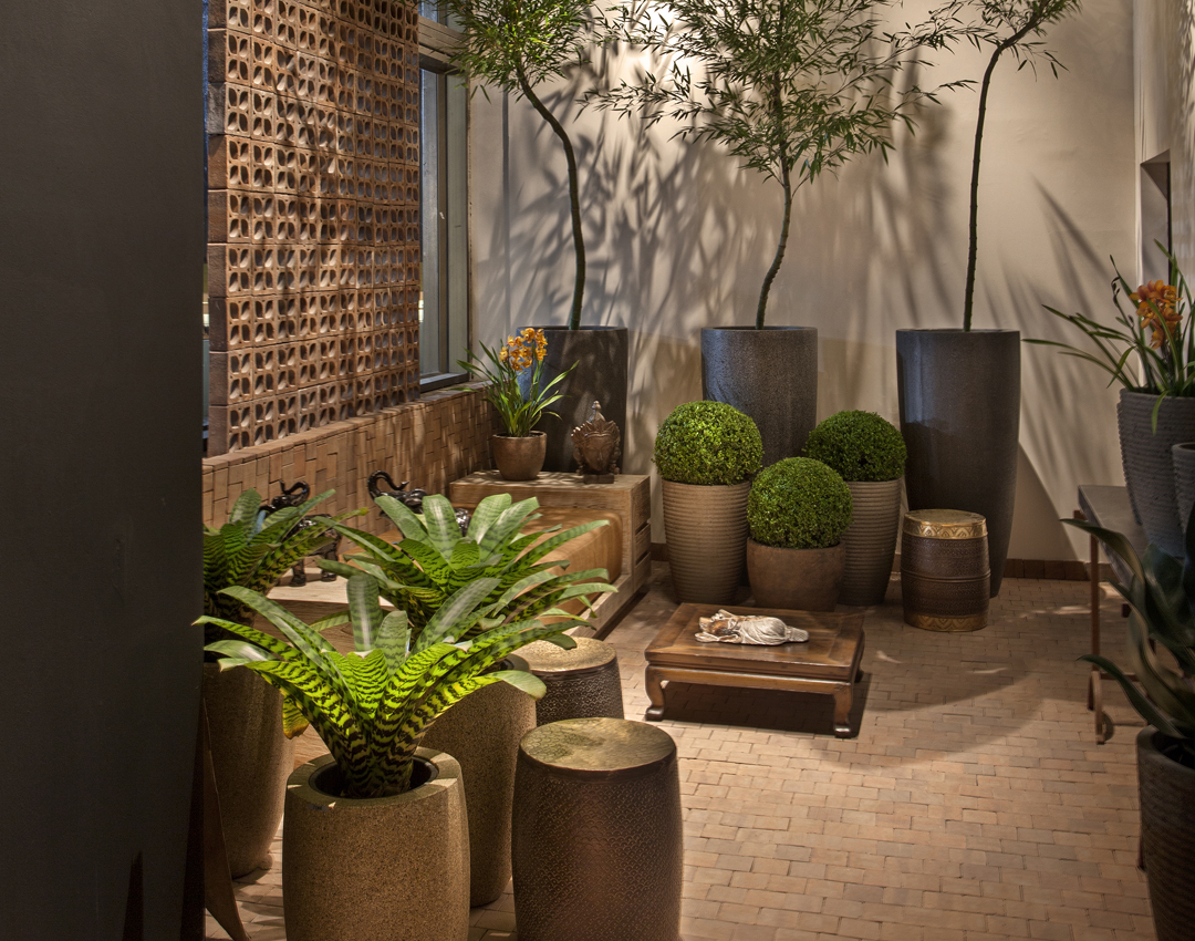 melhores vasos e plantas para entrada de casa