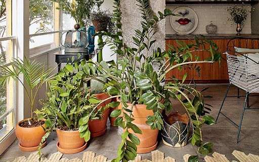 erros comuns ao decorar entrada com vasos