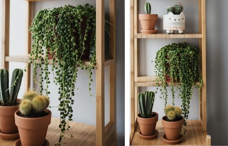 vasos de cerâmica vs fibra de vidro para entrada