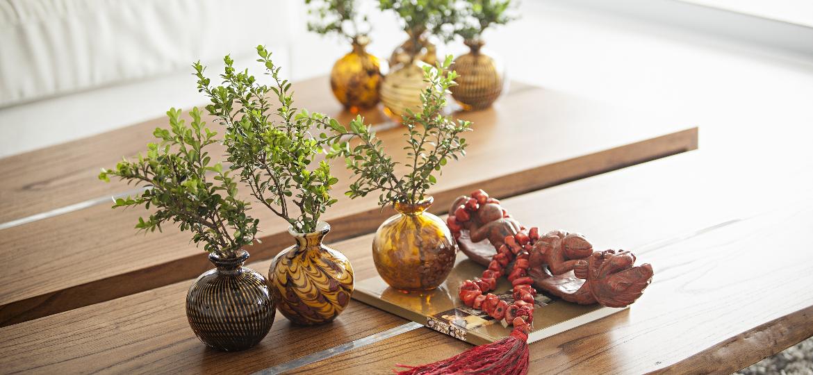 vasos baratos para entrada de apartamento