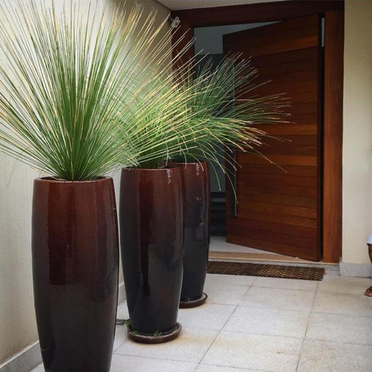 vasos baratos para entrada de apartamento