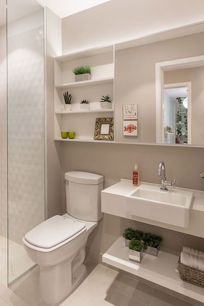 Plantas para Banheiro: As Melhores Espécies para Ambientes Úmidos e com Pouca Luz