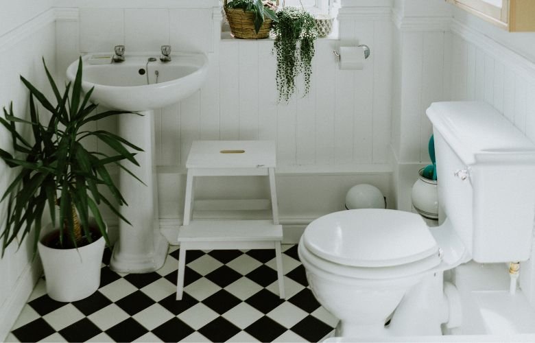 As Melhores Plantas para Banheiros Sem Janela