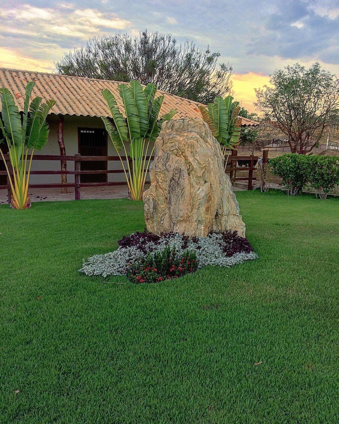 ideias criativas pedras pintadas jardim