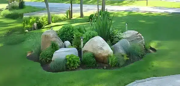 erros comuns ao pintar pedras para jardim