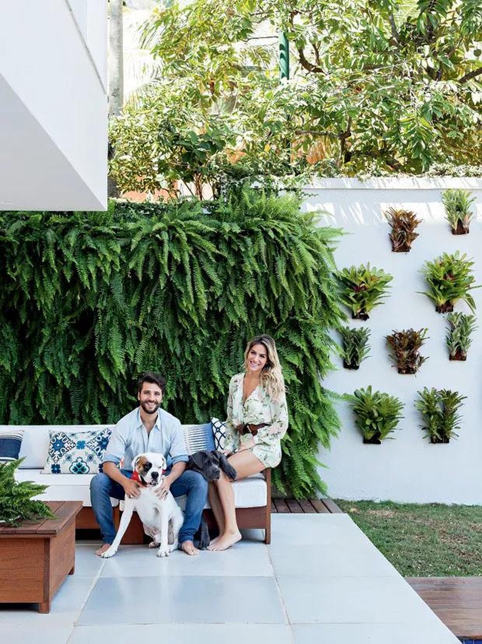 plantas para pátio com pouca luz natural