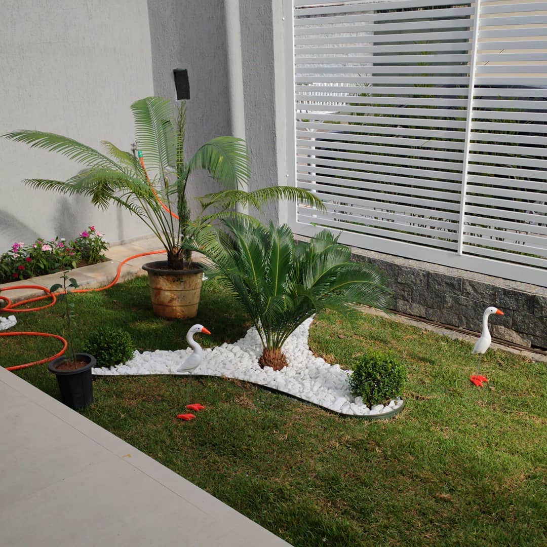 ideias de decoração de pátio com plantas pequenas