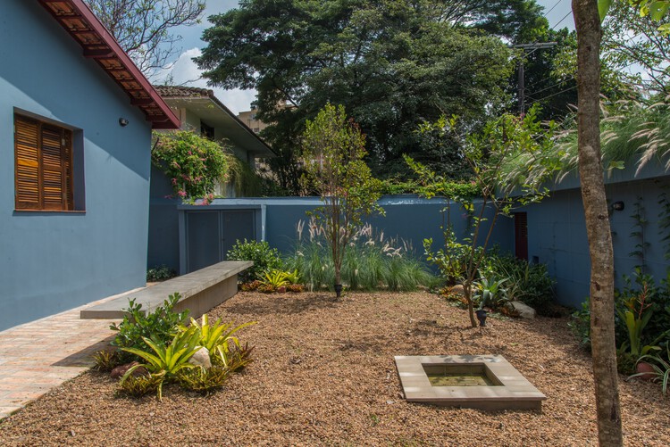 erros comuns ao decorar pátio com plantas