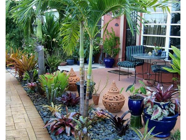 plantas para pátio com pouca luz natural