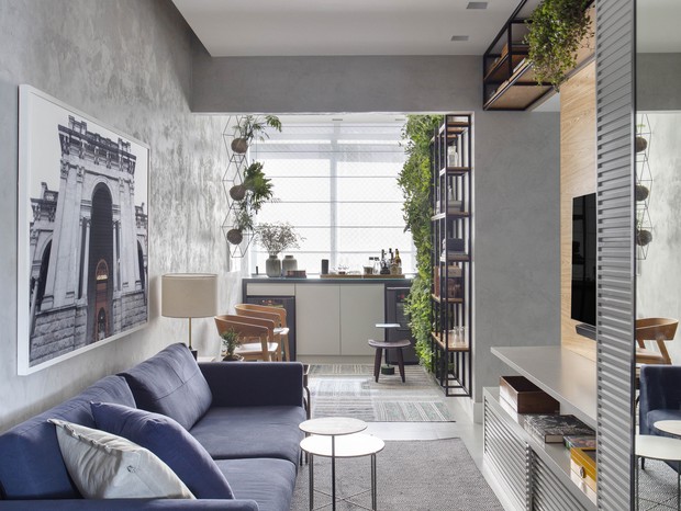 Decoração com Plantas: Guia Completo para Iniciantes