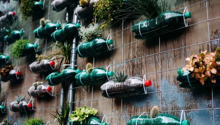 decoracao sustentavel